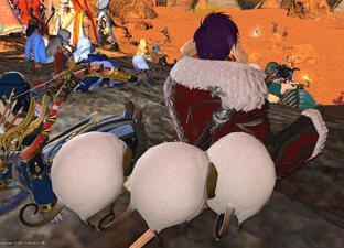 2023: Crowd watching the Tournament