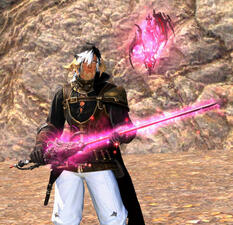 2023: Impressions from the Tournament